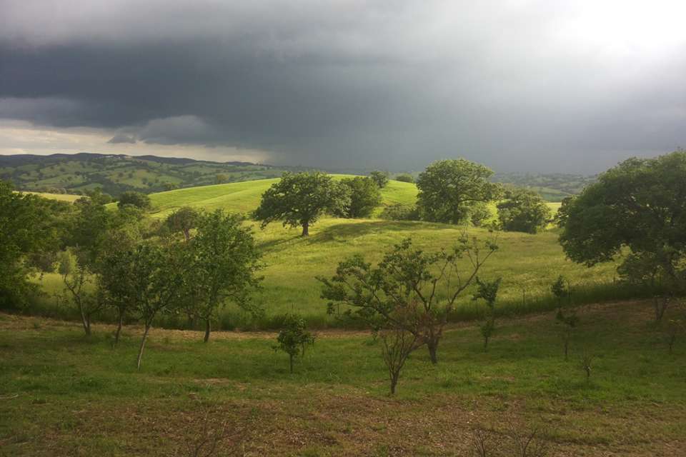 Toscana