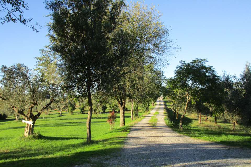 Toscana